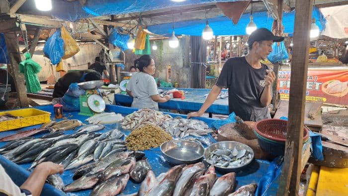 harga_ikan_laut_di_medan_meroket_tongkol_naik_100_persen_