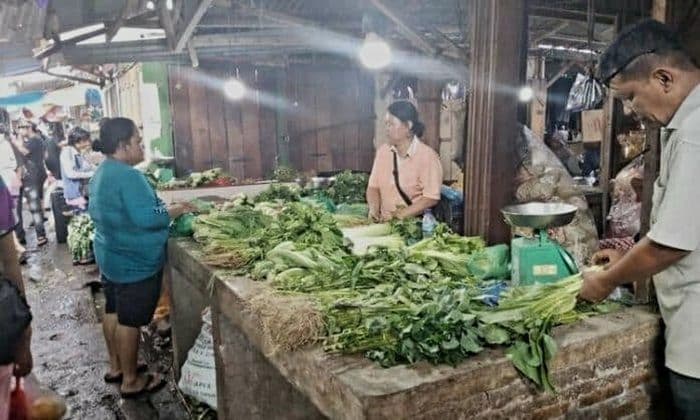 harga_sayuran_di_siantar_melonjak_buncis_naik_tajam_