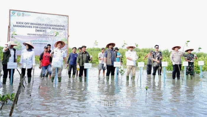 menhut_apresiasi_rehabilitasi_mangrove_di_batu_bara_dalam_program_m4cr