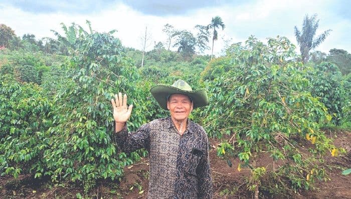 menyeduh_harapan_dalam_secangkir_kopi_sidikalang