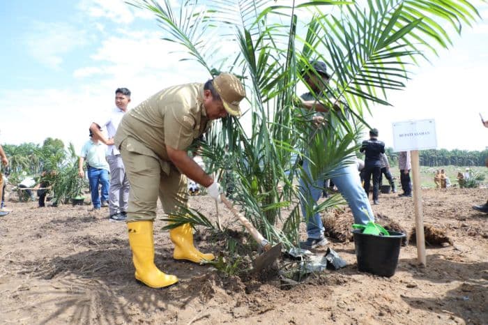 petani_sawit_asahan_ramairamai_daftar_psr_30_hektare_lahan_sudah_digarap