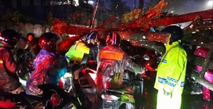 hujan_deras_dan_angin_kencang_pohon_tumbang_bikin_jalan_parapat_macet_total