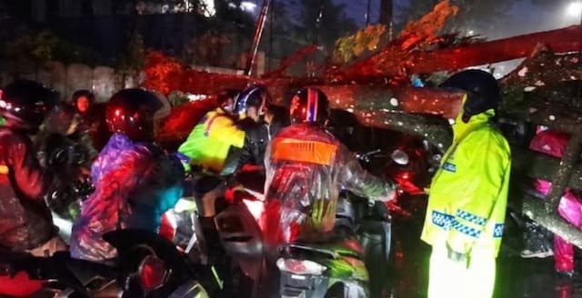 hujan_deras_dan_angin_kencang_pohon_tumbang_bikin_jalan_parapat_macet_total