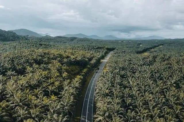 dukungan_pembentukan_pansus_plasma_di_dprd_batu_bara_terus_mengalir