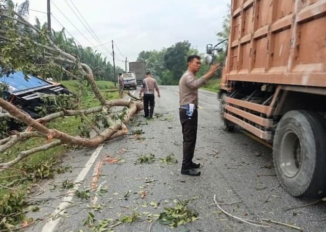 sopir_mengantuk_truk_kontainer_tabrak_pohon_hingga_tercabut_