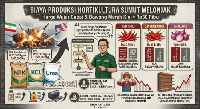 biaya_produksi_melonjak_pengamat_harga_wajar_cabai_dan_bawang_merah_kini_di_atas_rp30_ribu