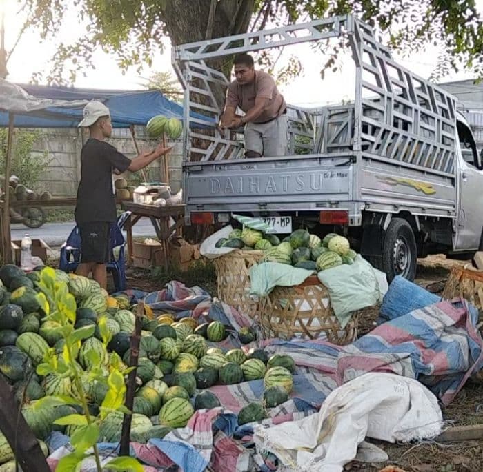 harga_cabai_anjlok_semangka_naik_pasca_lebaran_di_deli_serdang