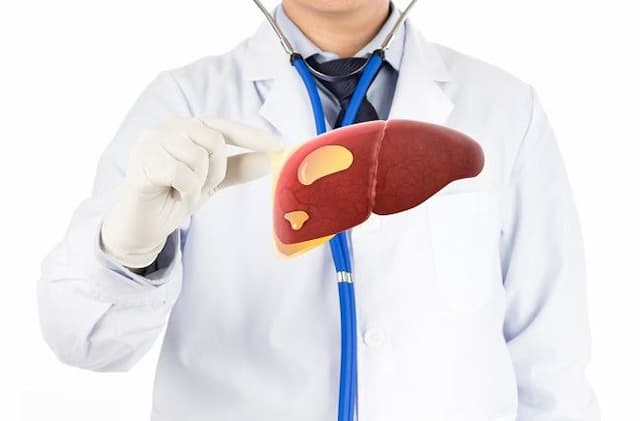 silent_killer_fatty_liver_mengintai_usia_produktif_apa_itu