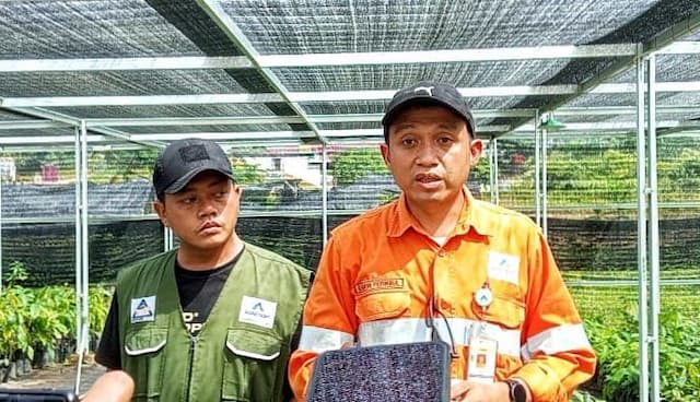 sentra_cokelat_tapsel_bangkit_lagi_petani_hingga_produk_premium_disiapkan