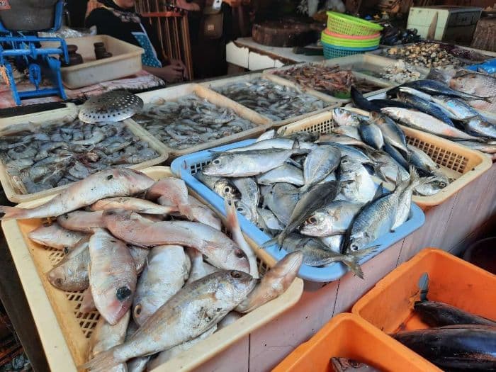 angin_kencang_jadi_penyebab_harga_ikan_laut_di_pangururan_mahal