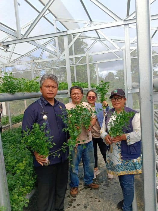 wabup_taput_buka_pelatihan_dan_panen_perdana_seledri_hidroponik_berbasis_iot