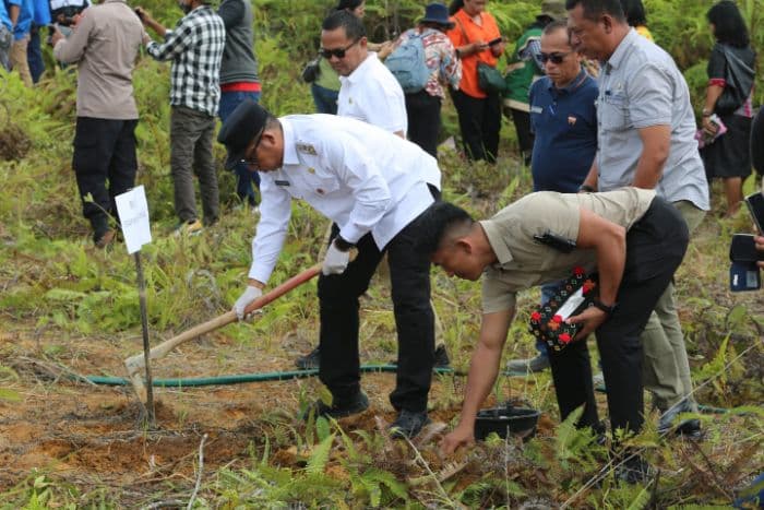 bupati_taput_canangkan_penanaman_sejuta_pohon_durian_untuk_pemulihan_pascabencana