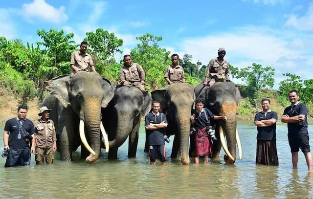 jgn_aceh_desak_publikasi_hasil_nekropsi_ratna_gajah_mati_di_rahmat_zoo_park