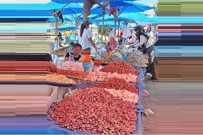 harga_bawang_dan_cabai_merah_naik_di_sidikalang_ini_daftar_lengkap_harga_pangan_terbaru