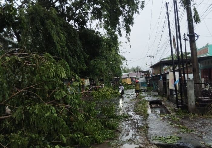 hujan_disertai_angin_kencang_pohon_tumbang_rusak_rumah_warga_asahan