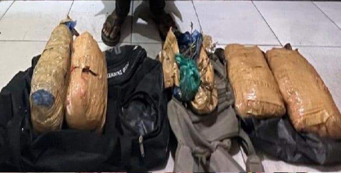 polsek_batang_angkola_gagalkan_peredaran_lima_bal_ganja_di_tapsel