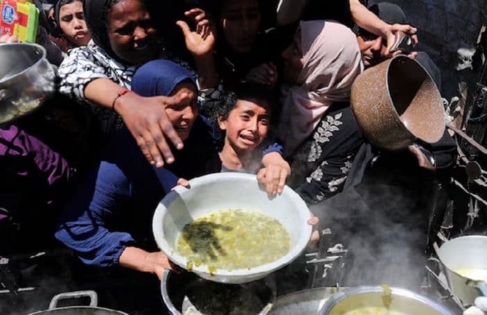 who_peringatkan_krisis_gizi_akut_ancam_seluruh_generasi_anak_di_gaza