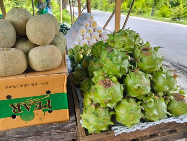 buah_naga_perbaungan_lebih_diminati_konsumen_dibandingkan_buah_naga_karo