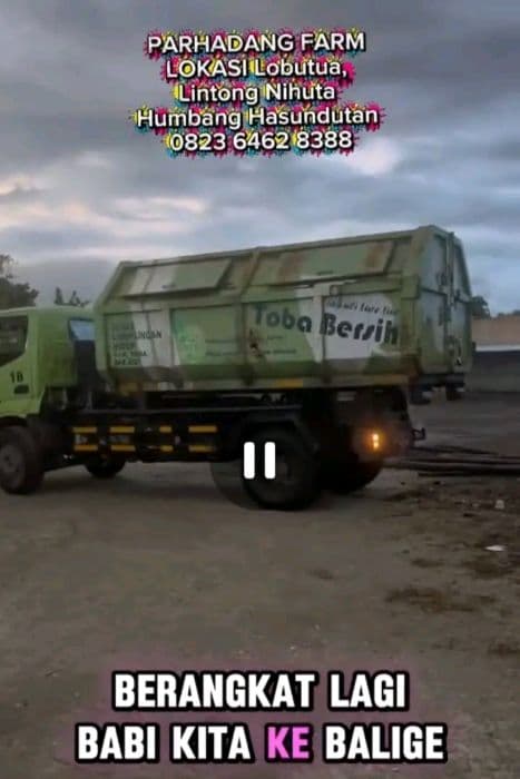 mobil_sampah_dlh_toba_dipakai_angkut_babi_viral_di_tiktok_dan_tuai_sorotan