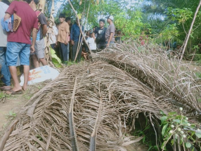 centeng_kebun_tewas_di_labuhanbatu_selatan_diduga_bentrok_lawan_pencuri_sawit