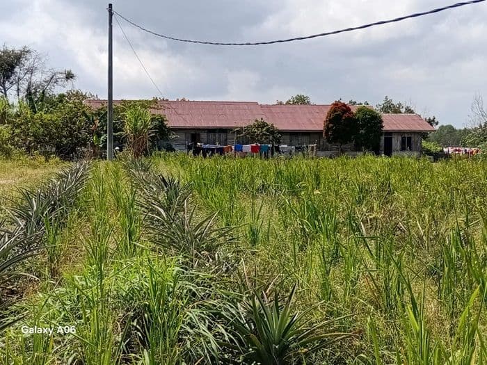 14_hektare_tanah_keluarga_dl_sitorus_disebut_masuk_register_42_sijaba_warga_minta_pemkab_taput_tak_tebang_pilih