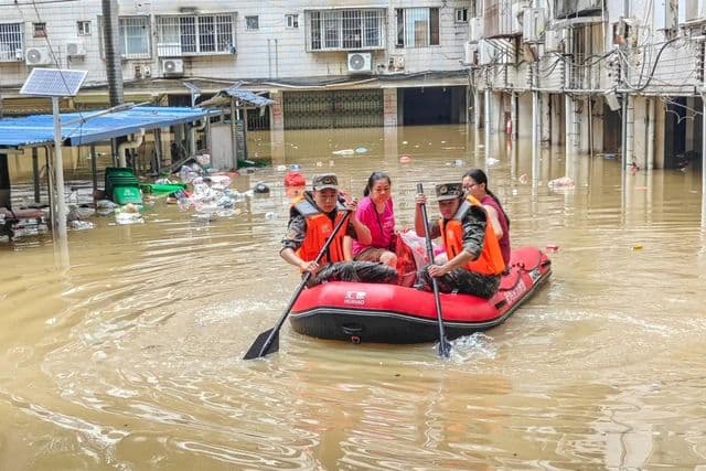 tiga_singa_mati_tenggelam_saat_kebun_binatang_di_china_diterjang_topan_maysak