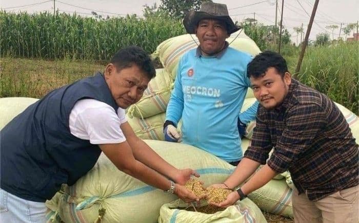 awal_agustus_2025_bulog_siantar_serap_satu_ton_gabah_dari_petani_lokal