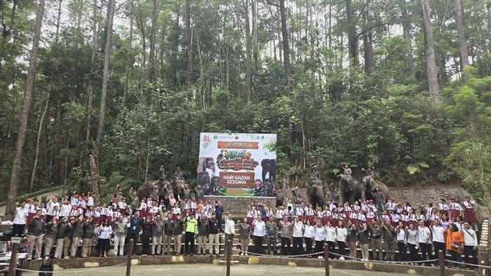 aek_nauli_didorong_kembali_buka_kunjungan_wisata_gajah_