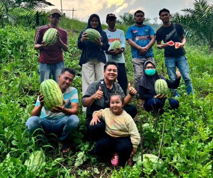 sppg_bandar_durian_serap_15_ton_semangka_dari_petani_lokal