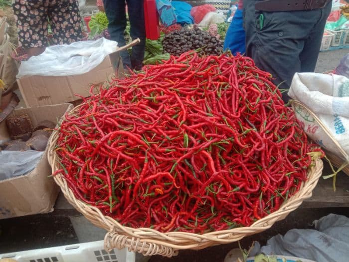 harga_andaliman_lebih_murah_di_pasar_laguboti