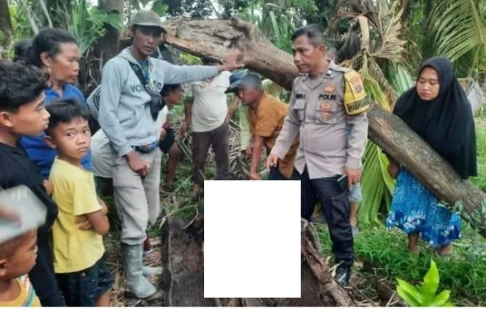 kasus_tulang_belulang_di_pohon_aren_sergai_keluarga_duga_pembunuhan_berencana
