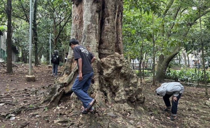 menteri_pppa_arifah_fauzi_imbau_masyarakat_bijak_sikapi_fenomena_koin_jagat