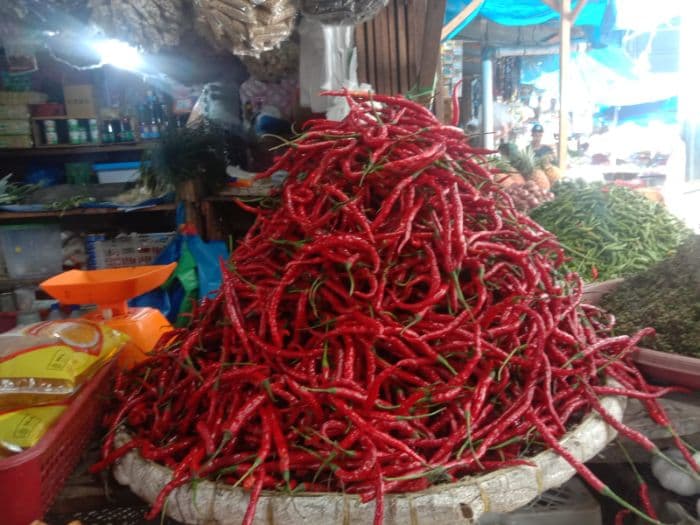 dampak_kemarau_harga_cabai_diprediksi_tinggi_dalam_waktu_dekat_di_toba