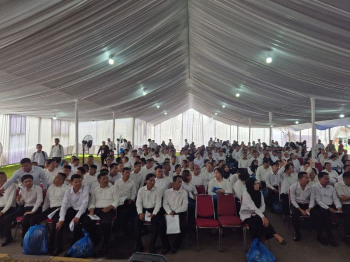 sebanyak_648_pelamar_pppk_dairi_lulus_ujian_cat_cek_pengumumannya
