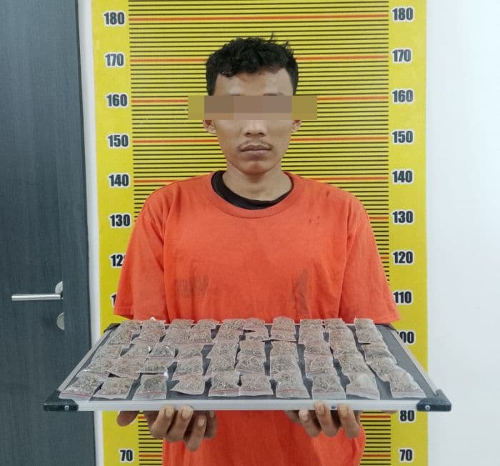 polisi_tangkap_pengedar_ganja_di_patumbak_50_paket_siap_edar_disita