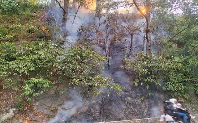 bpbd_simalungun_catat_tujuh_kebakaran_hutan_dan_lahan_hingga_pertengahan_2026