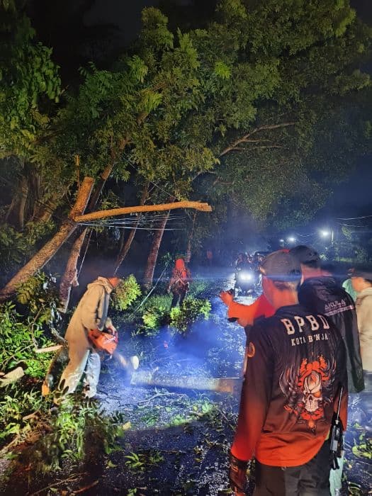 hujan_disertai_angin_kencang_akibatkan_pohon_bertumbangan_di_binjai