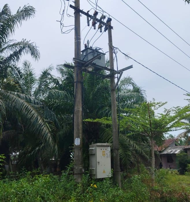 monyet_liar_tersengat_trafo_pln_listrik_di_teluk_mengkudu_padam