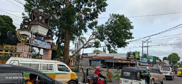 penebangan_pohon_di_sidikalang_abaikan_sop