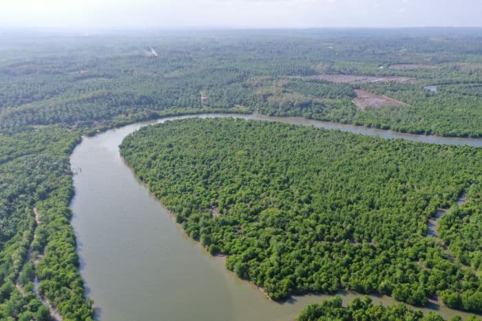 pt_dpm_tanam_198_ribu_pohon_mangrove_dukung_kelestarian_lingkungan_dan_das