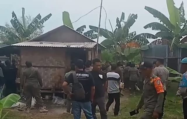 satpol_pp_deli_serdang_robohkan_posko_kelompok_tani_di_kawasan_hutan_lindung_pantai_labu