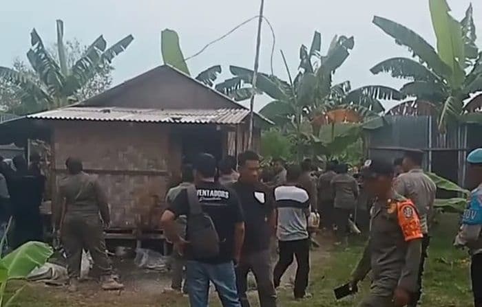 satpol_pp_deli_serdang_robohkan_posko_kelompok_tani_di_kawasan_hutan_lindung_pantai_labu
