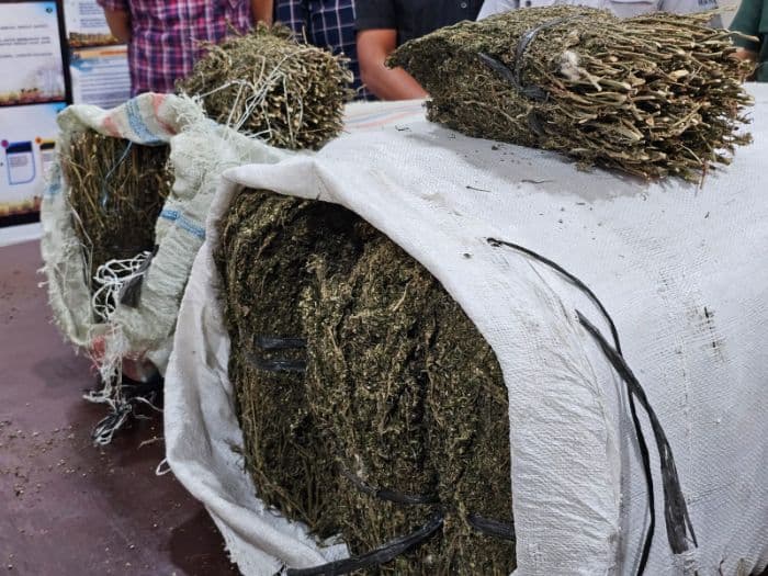 49_kg_ganja_ditemukan_di_belakang_kampus_usi_polisi_buru_pemiliknya