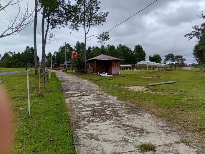 jalan_rabat_beton_ke_cafe_di_taput_dipersoalkan_warga_disebut_dibangun_pakai_apbd