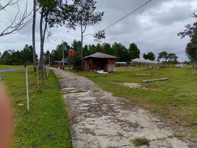 jalan_rabat_beton_ke_cafe_di_taput_dipersoalkan_warga_disebut_dibangun_pakai_apbd
