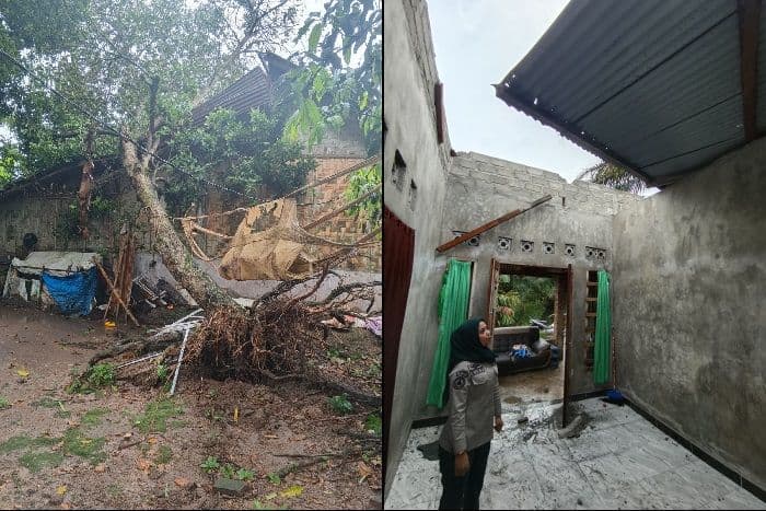 hujan_deras_disertai_angin_kencang_landa_binjai_pohon_tumbang_dan_seng_rumah_beterbangan