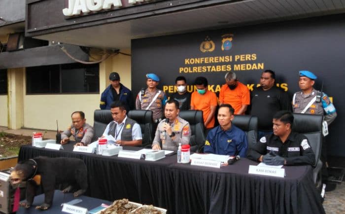 polisi_bongkar_perdagangan_satwa_dilindungi_di_medan_satu_ekor_beruang_madu_yang_diawetkan_disita