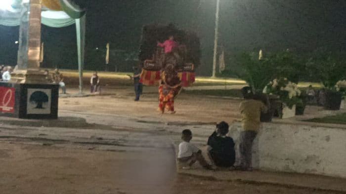 tarian_hanoman_dan_reog_ponorogo_meriahkan_pembukaan_pagelaran_etnis_di_labura