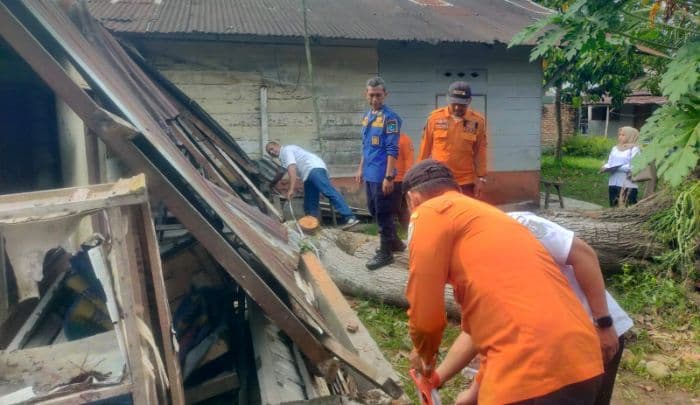 bpbd_binjai_catat_lima_rumah_di_limau_sunde_rusak_diterjang_puting_beliung_