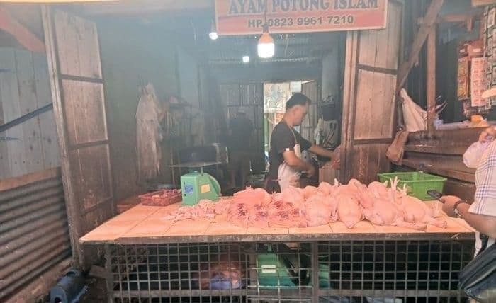 harga_ayam_di_pasar_dwikora_pematangsiantar_tembus_rp52_ribu_per_kilogram